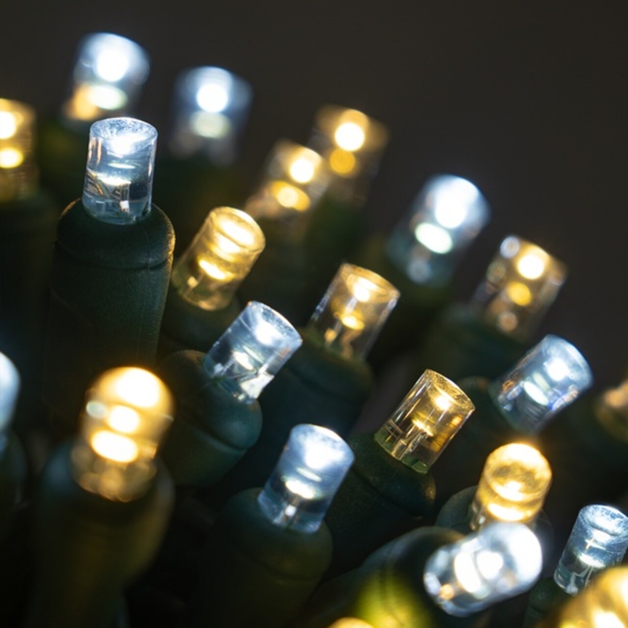 50 5mm Cool White, Warm White Champagne LED Christmas Lights, 6" Spacing